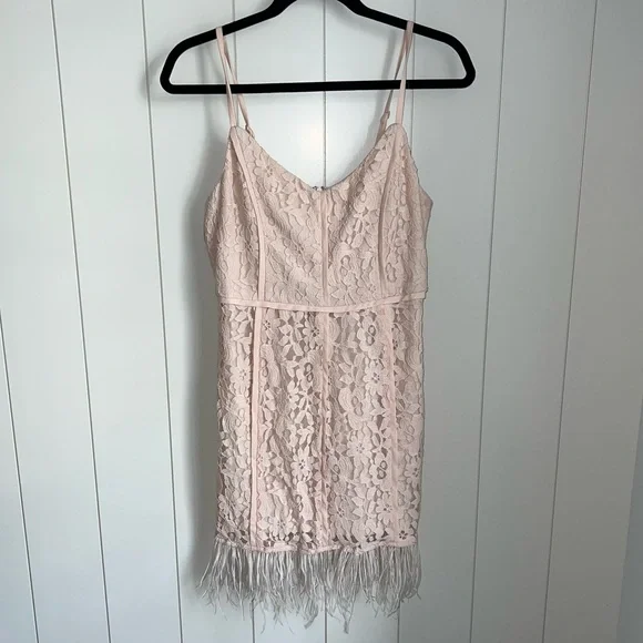 NWT GB Lace Feather Trim dress